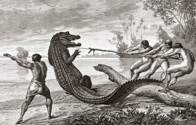 Immagine sconosciuta da Unknown
