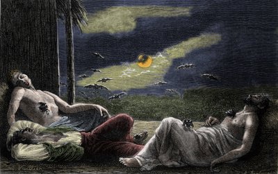 Pipistrello vampiro che succhia il sangue degli uomini addormentati nelle notti di luna piena. Incisione del XIX secolo da Unknown artist