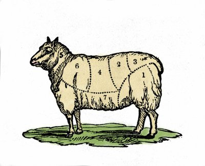 Varie parti di carne di pecora. Illustrazione della fine del XIX secolo da Unknown artist