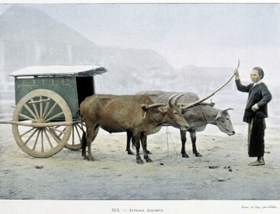 Carrozza vietnamita, "Intorno al mondo", fine XIX secolo da Unknown artist