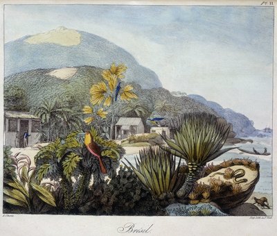 Veduta del Brasile in 