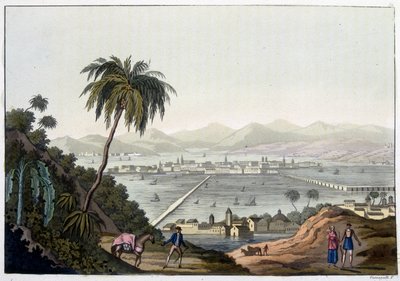 Veduta di Città del Messico, Messico. In “Le costume ancien et moderne” da Unknown artist