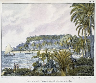 Vista delle Isole Radak dell