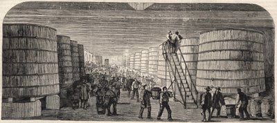 Veduta della cantina al Chateau - Lafitte nel 1860 da Unknown artist