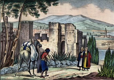 Veduta della città di Tlemsen (o Tilimsen) in Algeria. In "Storia d