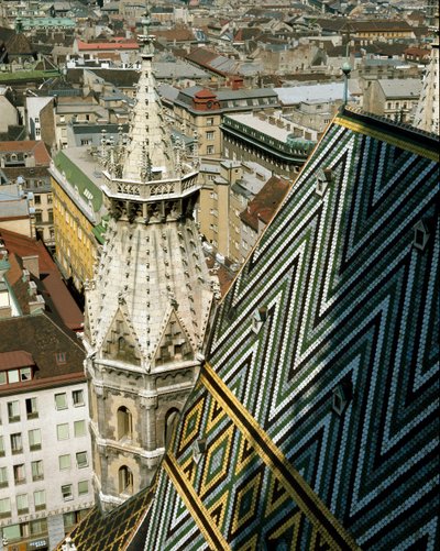 Veduta del tetto di tegole smaltate della Cattedrale da Unknown artist