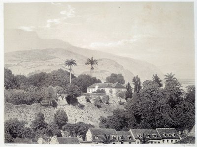 Veduta delle case prese dal Boulevard de la Comedie a Saint Pierre in Martinica nelle Antille. Stampa da fotografia della fine del XIX secolo da Unknown artist