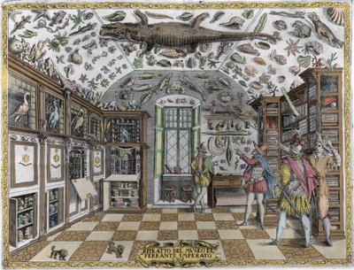 Veduta del museo (gabinetto) delle curiosità (museo enciclopedico) del farmacista Ferrante Imperato (1550-1631). Incisione del 1678. Museo dell