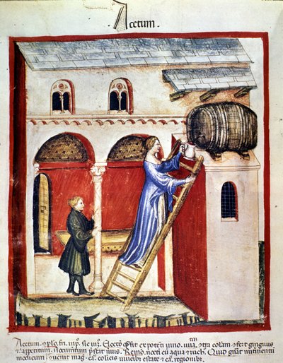 Produzione di aceto. Miniatura dal trattato di medicina e dietetica "Tacuinum sanitatis" da Unknown artist