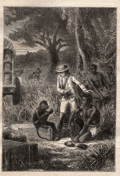 Viaggio nella Caffreria (Sudafrica) (1781) di François Levaillant (1753-1824): Levaillant e la sua scimmia degustatrice Maestro Kees, che assaggia i frutti e le radici per verificare che siano commestibili - illustrazione tratta da 