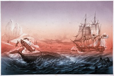 Nave baleniera non riesce a salvare le sue barche capovolte da Unknown artist