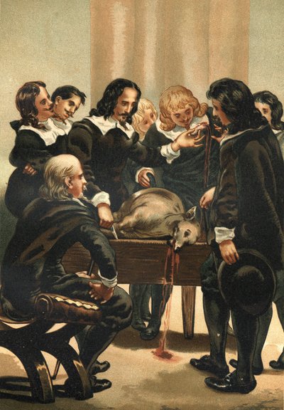 William Harvey (1578-1658) medico inglese che dimostra la circolazione del sangue nel 1628 da Unknown artist