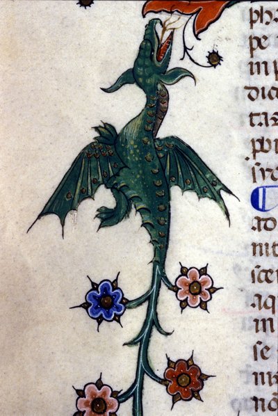 Drago alato, Caspic, su un manoscritto del XIV secolo. Milano, Biblioteca Nazionale Braidense. da Unknown artist