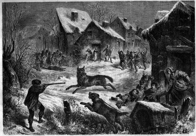 Caccia al lupo nel villaggio di Saliers, Bouches du Rhone (13), 31 dicembre 1860. Incisione in 