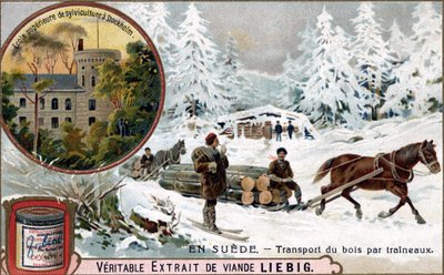 Trasporto del legno con slitte, Svezia. Cromolitografia, immagine Liebig. da Unknown artist