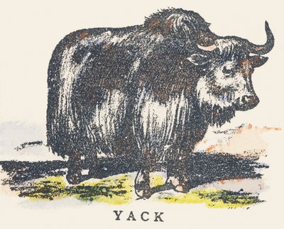 Y: yak da Unknown artist