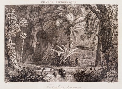 Incisione raffigurante la colonia francese della Guyana in Sud America 1850 da Unknown artist