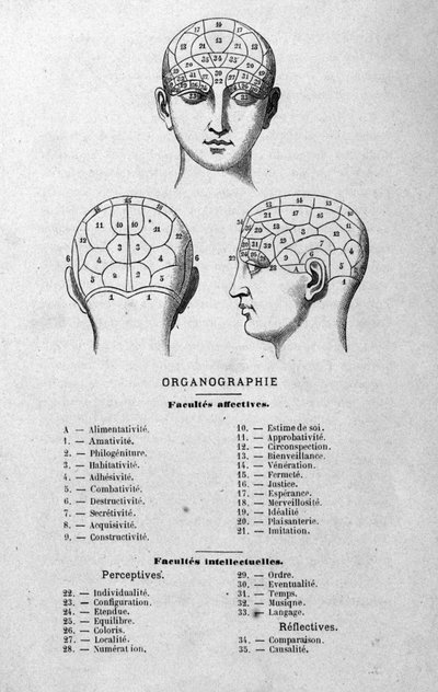 Illustrazione dal libro di Charles Rouvin del 1873 Organographie La Tête humaine, studi illustrati di frenologia e fisionomia applicati a personaggi famosi, Parigi 1873 da Unknown artist