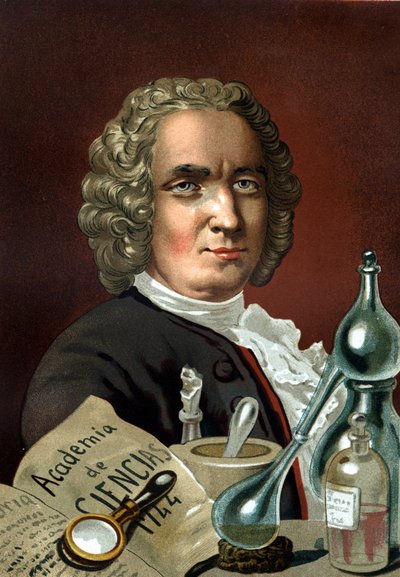 Ritratto di Guillaume François Rouelle, chimico francese (Mathieu, vicino a Caen) da Unknown artist