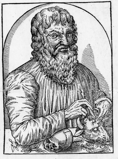 Ritratto di Ippocrate (460- circa 377 a.C.), medico greco. da Unknown artist