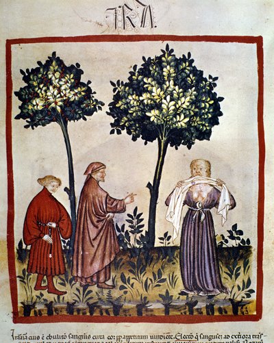Rabbia o persona arrabbiata che stringe un tessuto tra i denti. Miniatura del XIV secolo del "Tacuinum Sanitatis", Vienna, Biblioteca Nazionale da Unknown artist