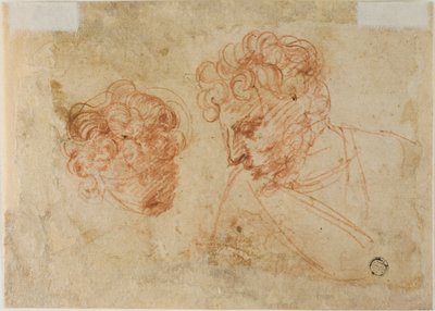 Due schizzi di teste (recto); due schizzi di donna drappeggiata (verso) da Unknown Florentine