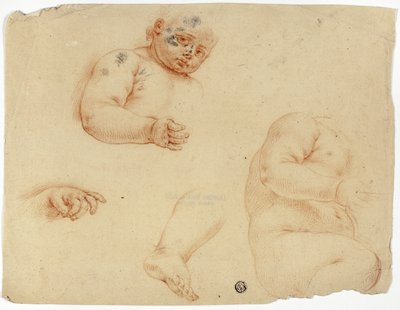 Schizzi di un bambino:  Mezzo busto, busto, piede, mano da Unknown Lombard