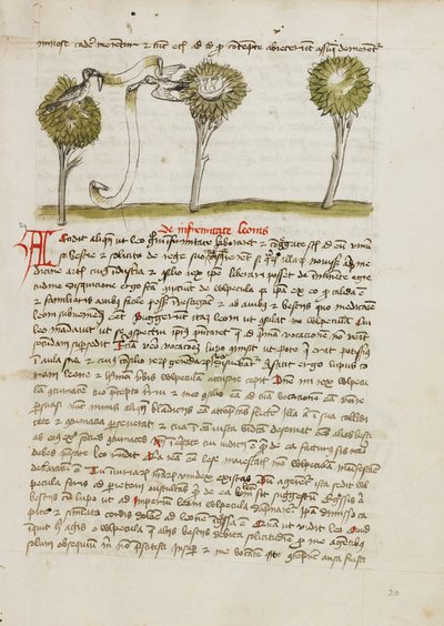 Un astore su un albero e un usignolo che vola via dal nido da Unknown artist