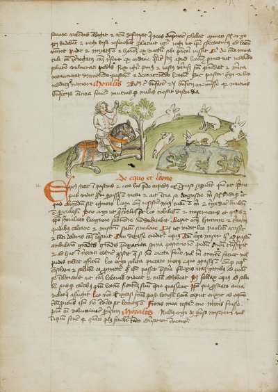 Un cacciatore a cavallo a caccia di lepri da Unknown artist