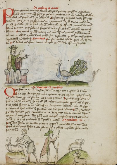 Un re in trono che parla a un pavone; un pastore che uccide un ariete; un pastore con un bastone e un coltello davanti a due capre da Unknown artist