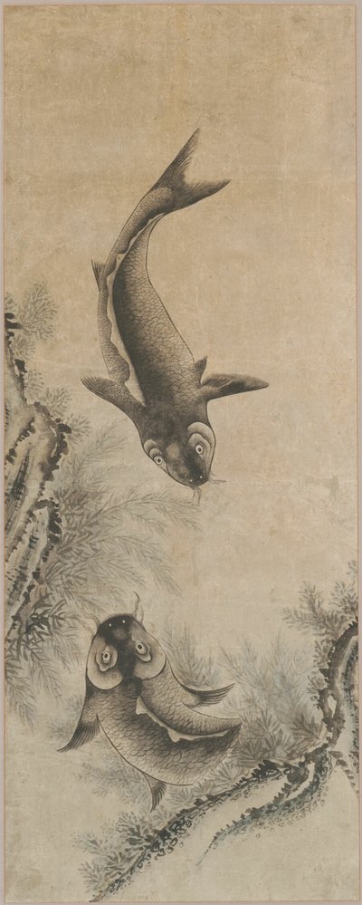 Una coppia di carpe da Unknown artist
