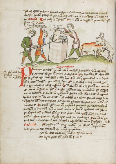 Uccisa una pantera che aveva attaccato una mucca da Unknown artist