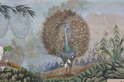 Un pavone (dettaglio) da Unknown artist