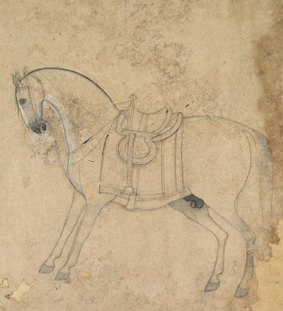 Un Cavallo Sellato da Unknown artist