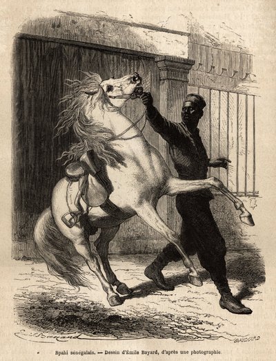Uno spahi senegalese (cavaliere) a Saint-Louis (Saint Louis). Incisione per illustrare una crociera sulla costa dell