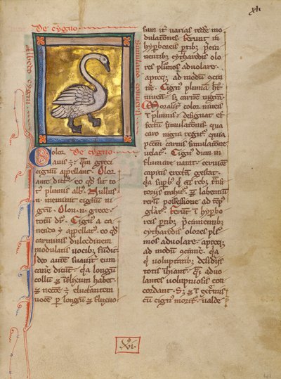 Un Cigno da Unknown artist