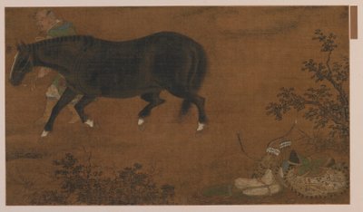 Un tartaro, il suo cavallo e l