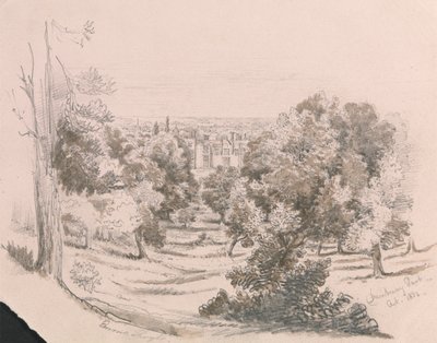 Vista di Danbury Park da Unknown artist
