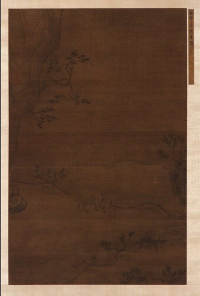 Bufalo d