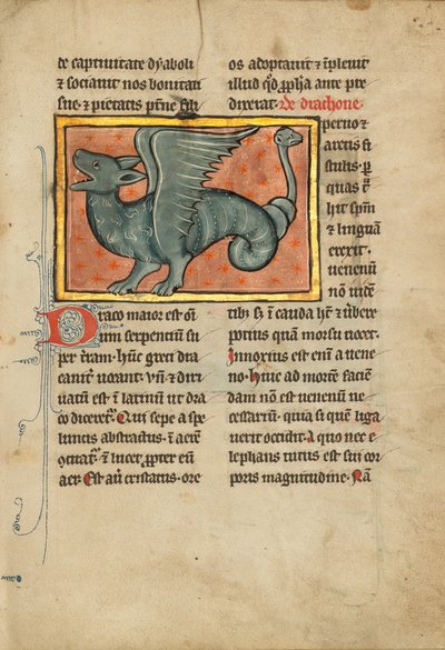 Un drago alato da Unknown artist