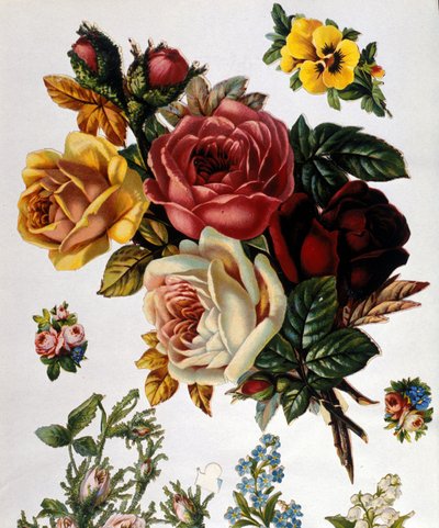 Un mazzo di rose. Cromolitografia del XIX secolo da Unknown artist
