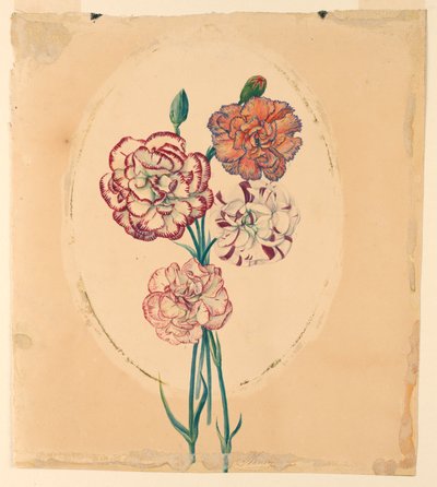Un mazzo di quattro garofani da Unknown artist