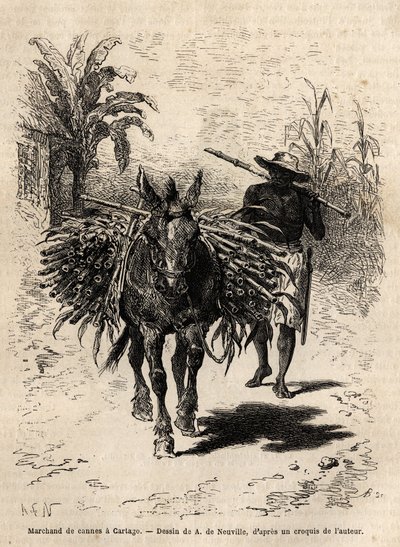 Un mercante di canne e il suo mulo a Cartago (Costa Rica), l