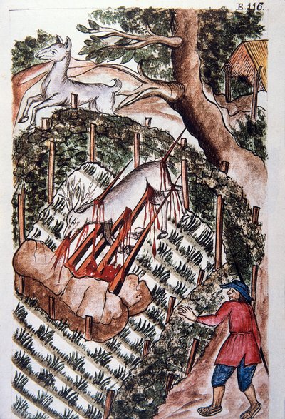 Un cervo cade nella trappola dei cacciatori, dal libro "Trujillo del Peru" o "Códice Martínez Compañón", di Baltazar Martinez Compañón y Bujanda, vescovo di Trujillo (1782-1785) da Unknown artist