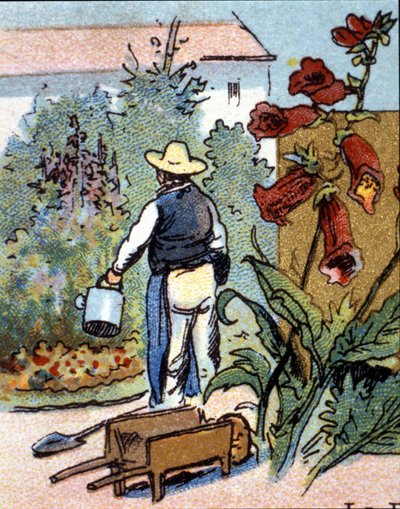 Un giardiniere, cromolitografia da Unknown artist