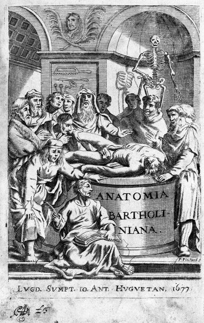 Una lezione di anatomia. Frontespizio tratto da 