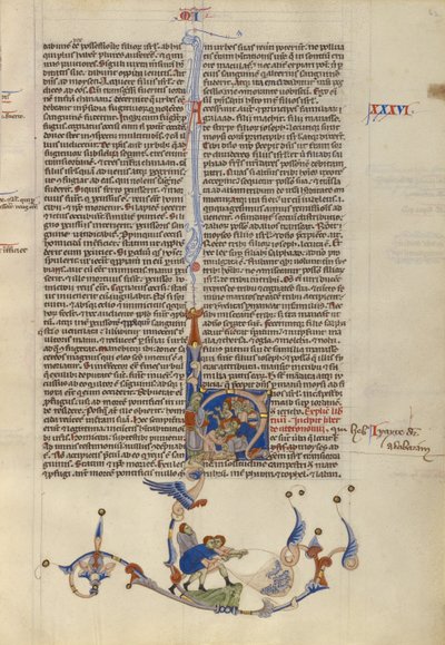 Bibbia dell