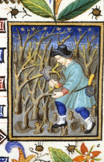 Rappresentazione allegorica di marzo. Un uomo che taglia arbusti. Miniatura di un manoscritto del XIV secolo da Unknown artist