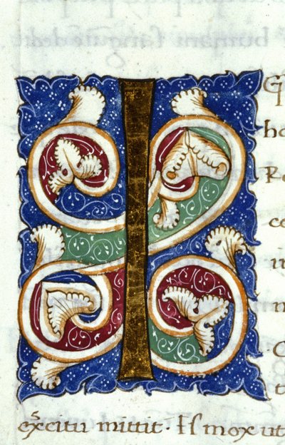 Alfabeto: lettera miniata I da Unknown artist