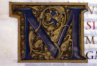 Alfabeto: lettera miniata M da Unknown artist
